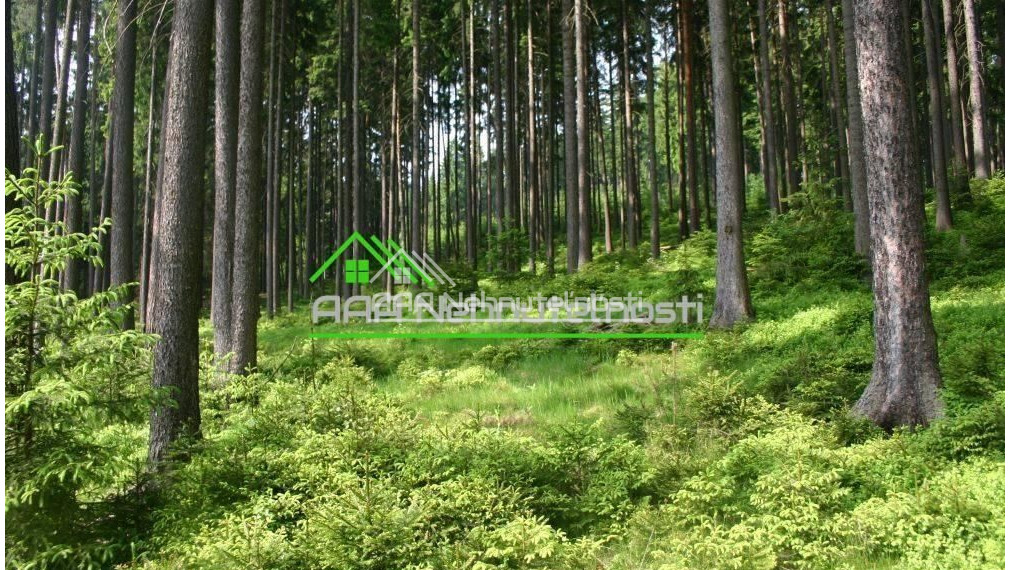 Predaj lesného pozemku 149.800 m2