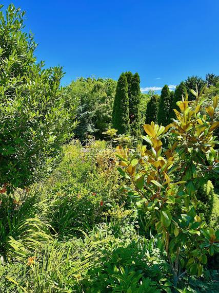 7-izb. Rodinný dom s bazénom a vlastnou Botanickou záhradou na pozemku 5.100 m2, len 30 min od BA
