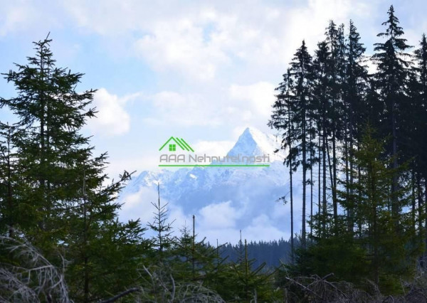 Predaj lesného pozemku 149.800 m2